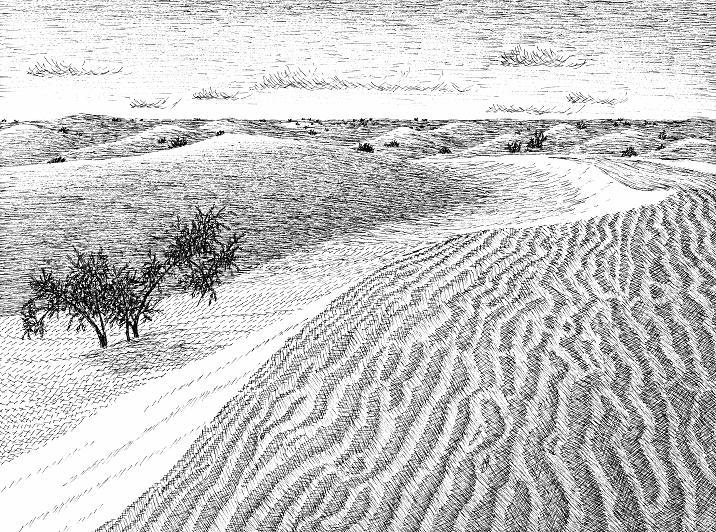 Sand dunes,Mali
