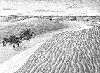 Sand dunes, Mali