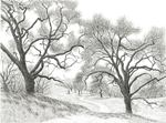 Two oaks, Briones Regional Park, California