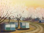 Almond Blossoms and Beehives