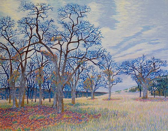 Blue oaks