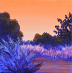Yolo Bypass, Evening