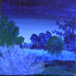 Yolo Bypass, Night