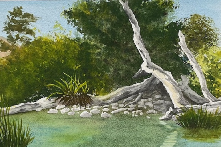 Downed Tree, Putah Creek