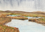 Forsinard Flows, Sutherland, Scotland