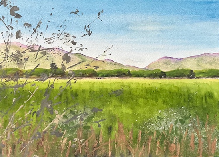Berryessa Gap from Garnett Lane