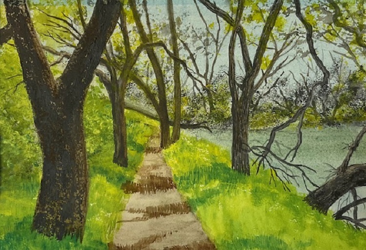 Footpath, Levee Road Trail,UC Davis