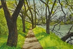 Levee Road Trail, Putah Creek Riparian Reserve, UC Davis Yolo County