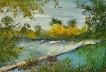 Putah Creek by Old Davis Road, Yolo County