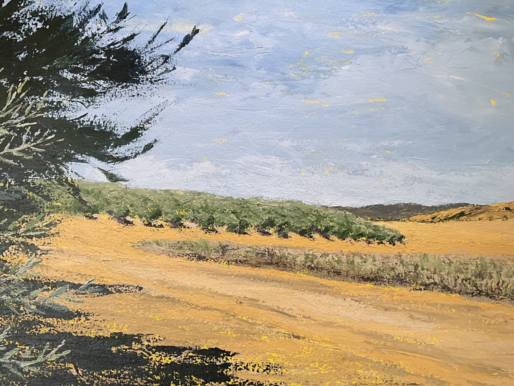 Olive Orchard, Hungry Hollow, Yolo County