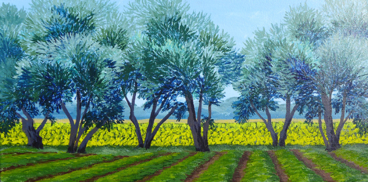 Olive Trees and Sunflowers
