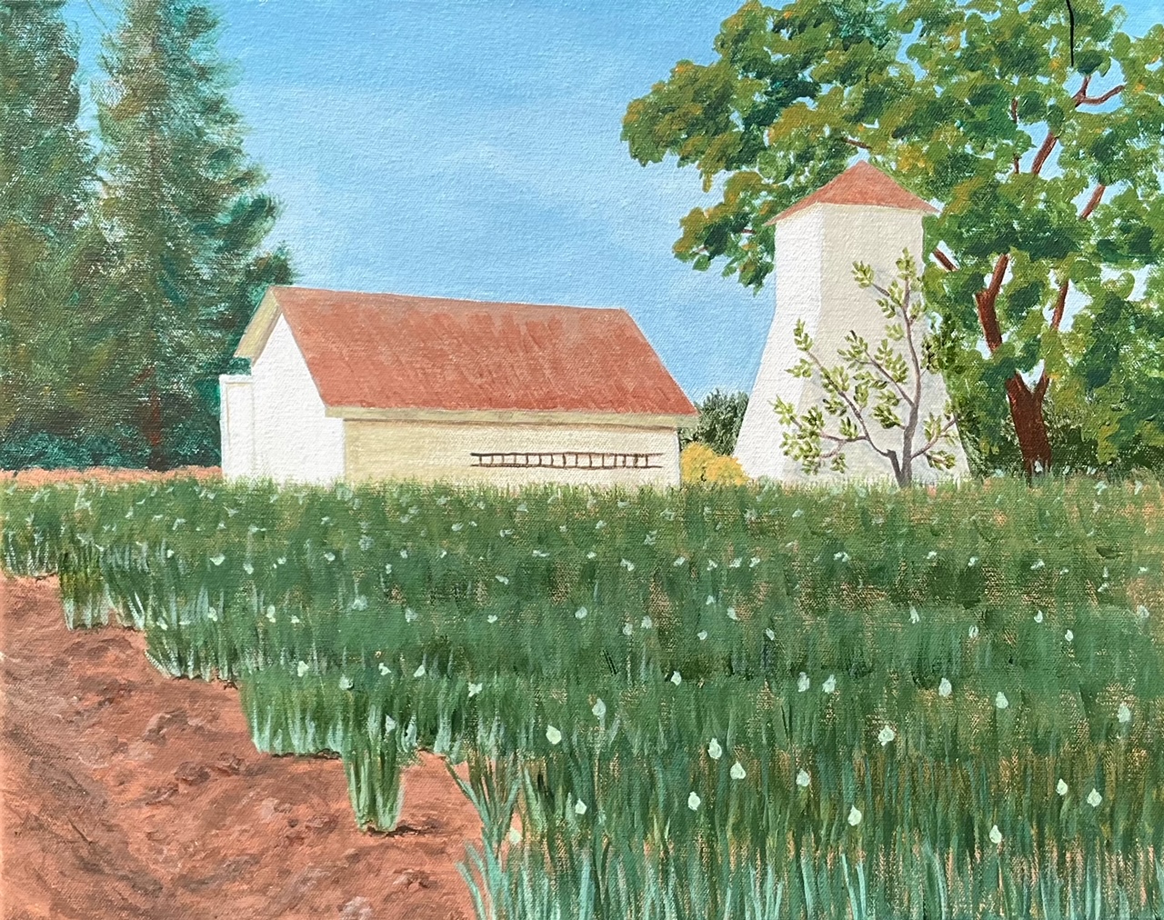 Onion Field and Farm Buildings, Yolo County, Californiak