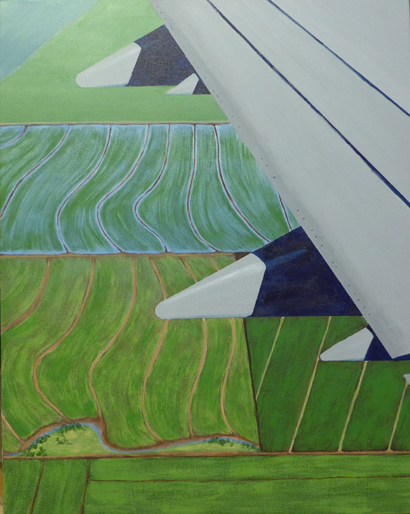 Coming Home--rice fields from the air