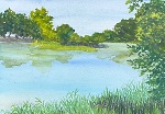 Putah Creek South Fork Preserve