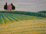 Wheat fields, Tuscany