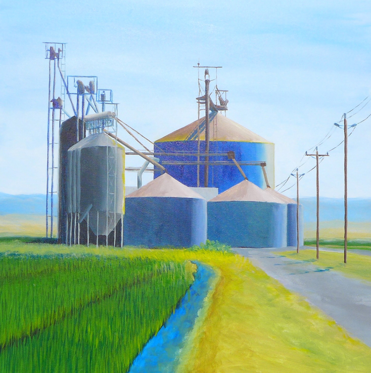 Silos and rice fields