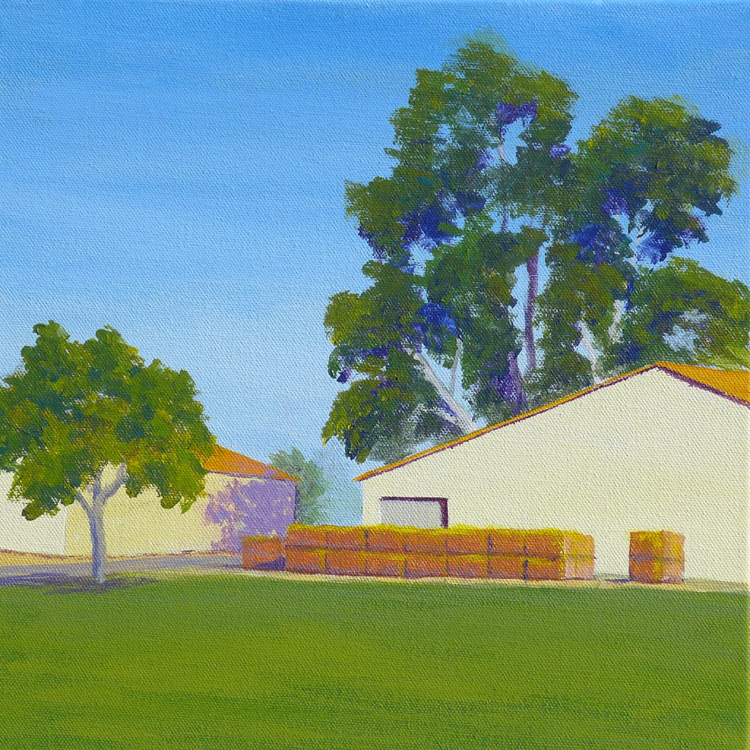 Hay barn and eucalyptus tree