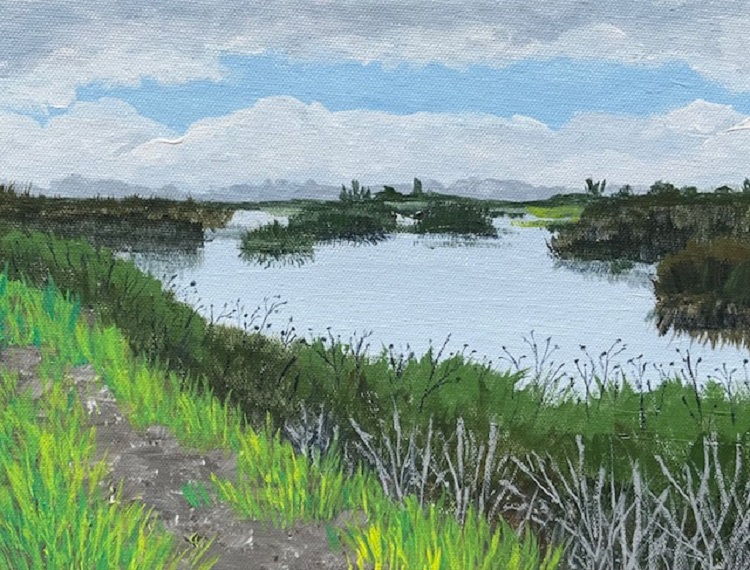 Yolo Bypass, 11:12 a.m. One Morning in November, Yolo County, California