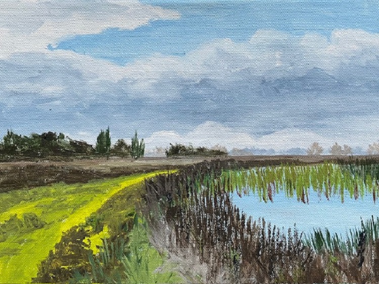 Yolo Bypass, Yolo County, California