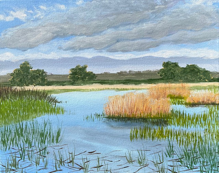 Yolo Bypass, Parking Lot C, Yolo County, Californiar